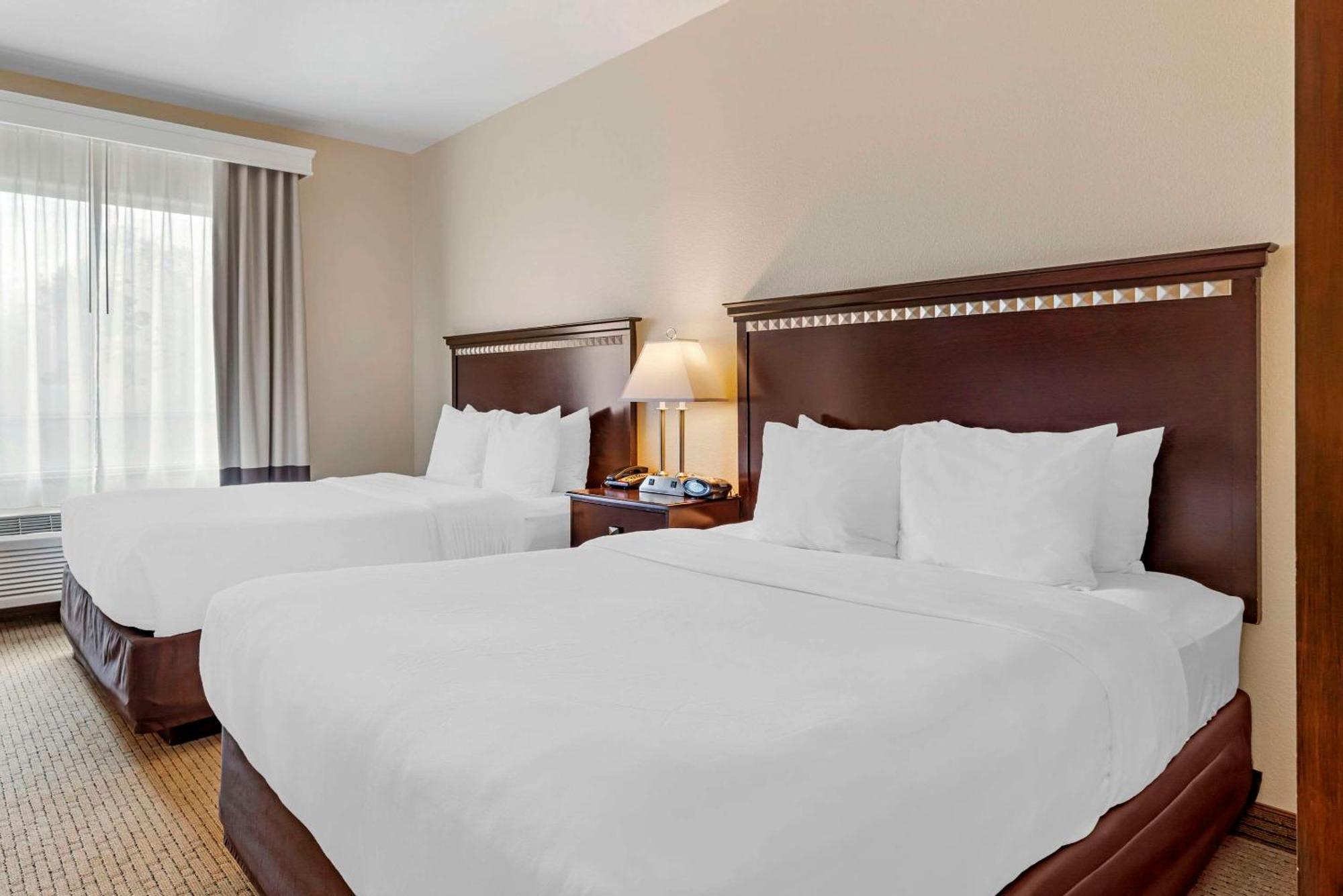 คอมฟอร์ท สวีท Hotel ปาเลสไตน์ ภายนอก รูปภาพ
