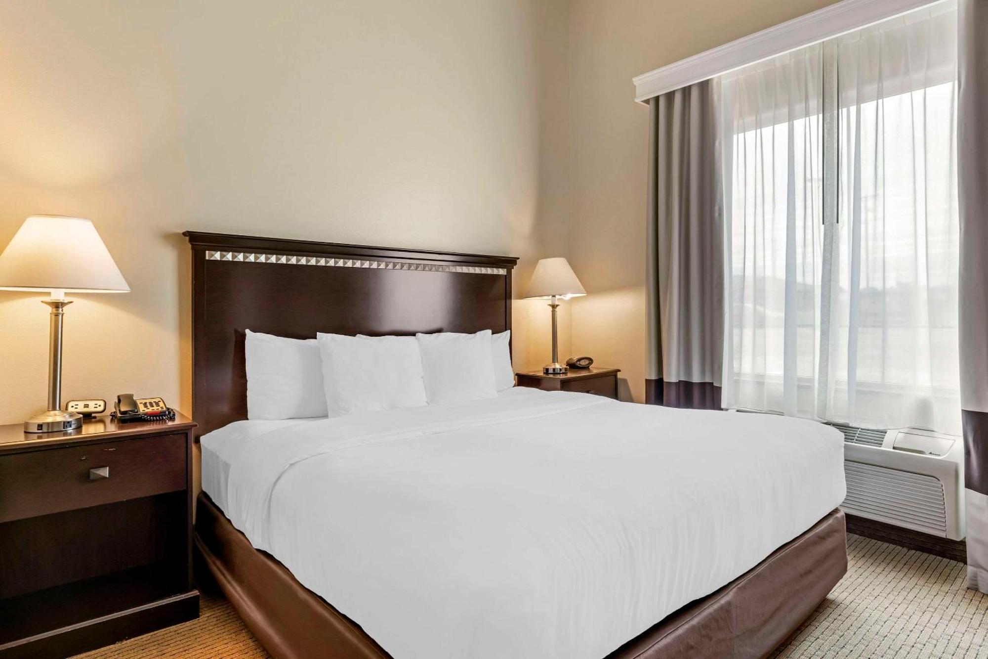 คอมฟอร์ท สวีท Hotel ปาเลสไตน์ ภายนอก รูปภาพ